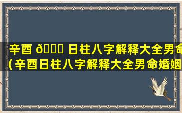 辛酉 🐋 日柱八字解释大全男命（辛酉日柱八字解释大全男命婚姻）